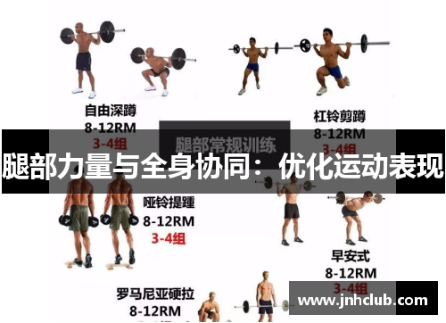 腿部力量与全身协同：优化运动表现